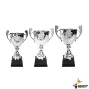 Wisseltrofee met ruimte voor afbeelding