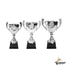 Wisseltrofee met ruimte voor afbeelding