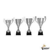 Chique trofee in 4 hoogtes