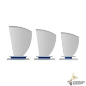 Uniek design glazen trofee