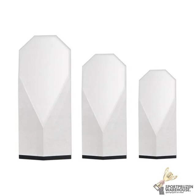 Bijzondere glazen award Bijzondere glazen award