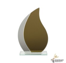 Gouden award van glas
