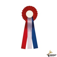 Luxe rozet RWB - R12