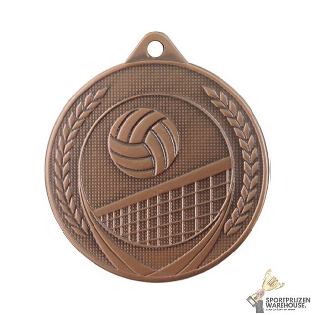 Volleybal medaille