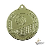 Volleybal medaille