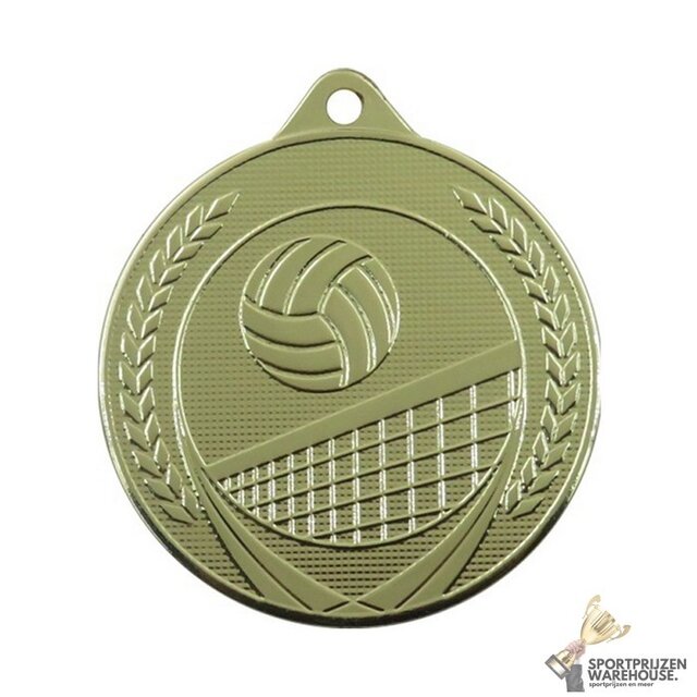Volleybal medaille