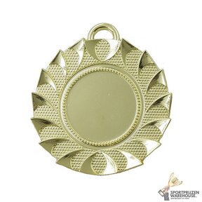 Bijzondere medaille - M29
