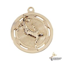 Voetbal omhaal medaille