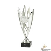 Leuke sportprijs in goud, zilver of brons - ET.444 - SPOED