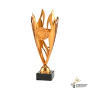 Leuke sportprijs in goud, zilver of brons - ET.444 - SPOED
