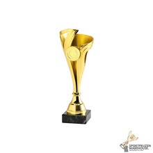 Goedkope trofee in 3 kleuren - Set.353 - SPOED