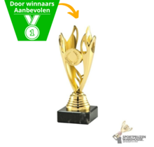 Super budget Trophy in het goud, zilver of brons - SPOED