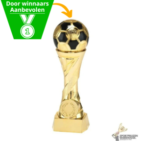 Voetbal Trofee in verschillende afmetingen - SPOED - X824.01