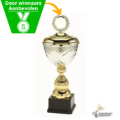 Bokaal met een gouden accent kleur Bokaal met een gouden accent kleur