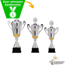 Leuke trofee, lekker geprijsd - AK5620