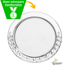 Kampioensschaal van Metal look - D205