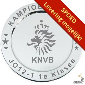 KNVB look a like kampioensschaal - SPOED - D341
