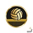 Disc Afslagen Volleybal - inleg Acryl - AC023