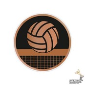 Volleybal - inleg Acryl - AC023