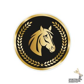 Paarden sport - inleg Acryl - AC032