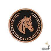 Paarden sport - inleg Acryl - AC032