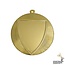 Medaille Schild inleg - DI6002