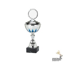 Luxe award met blauw accent - 50 mm topstuk - MT.134
