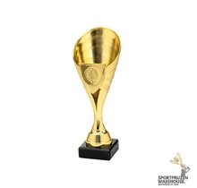 Sportprijzen knaller - Goud - SET.357.01