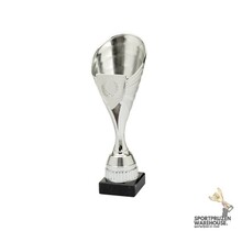 Sportprijzen knaller - Zilver - SET.357.02