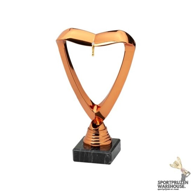 Unieke trofee met medaille hanger - G/Z/B - SET.358