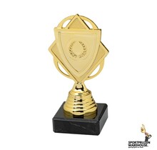 Budgetknaller - Goud - SET.359