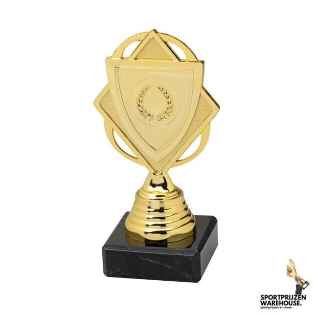 Budgetknaller - Goud - SET.359