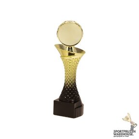 Luxe trofee voor de Acryl disc - ST.310