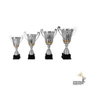 Luxe bokaal met goud accent - AK5093