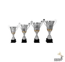 Luxe bokaal met goud accent - AK5093