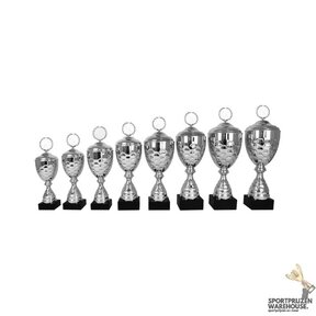 Zilveren trofee in 8 hoogtes - AK5161