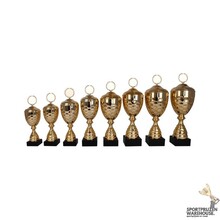 Gouden bokaal in 8 hoogtes - AK5171