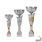 Trofee met goud accent - AK5379