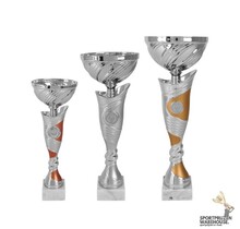 Trofee met goud accent - AK5379