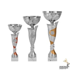 Trofee met goud accent - AK5379