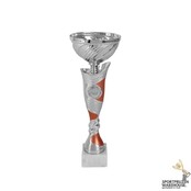 Trofee met goud accent - AK5379