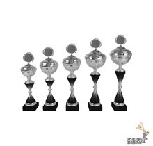 Gave award met zwart accent - AK5462