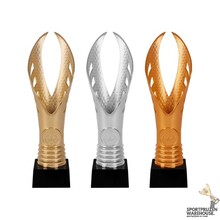 Budget topper in goud, zilver of brons - AK5636