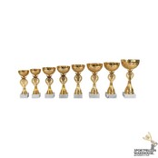 Gouden beker - AK5696