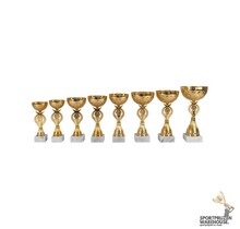 Gouden beker - AK5696