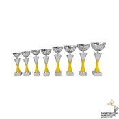 Trofee met geel accent - AK5765