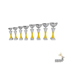 Trofee met geel accent - AK5765