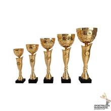 Gouden trofee - AK5821