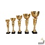 Gouden trofee - AK5821