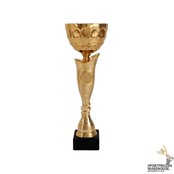 Gouden trofee - AK5821